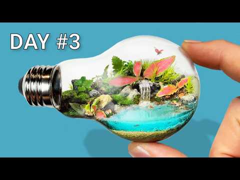 Can I Build a Tiny Ecosystem Inside Anything?