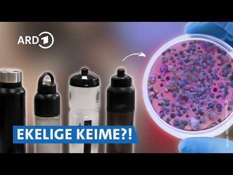 Lunchboxen & Trinkflaschen im Check: Glas, Edelstahl oder Plastik? 🍱 | Preiswert, nützlich, gut? SWR