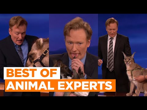 Best Of Animal Experts: Camel & Caracal | CONAN on TBS