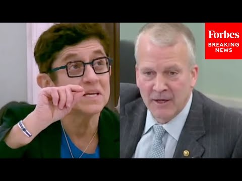 'Do You Understand Why People Get Frustrated': Dan Sullivan Confronts Gigi Sohn Over Old Tweets