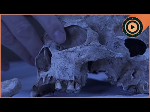 Cincinnati's Hidden Cemetery: Construction Crew Finds 2,500 Human Bones