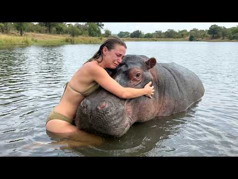 Animals Reunited With Owners After Years