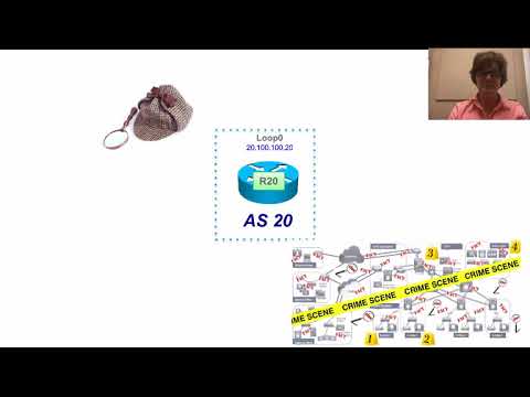 The Case of the Flapping BGP Routes