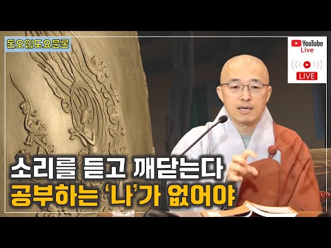 [돈오16] 소리를 듣고 깨닫는다, 공부하는 '나'가 없어야 한다