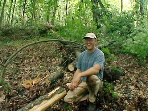 Harvesting 45 Miles of Hickory Bark: Brian Boggs’ Hickory  bark for Seat Weaving
