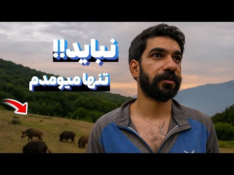 کمپینگ بقا در دشت گراز ها !!! / فقط با یه فندک آتیش برپا کردم !