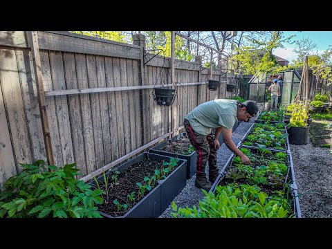 Finally a garden tour with full recap when it all started