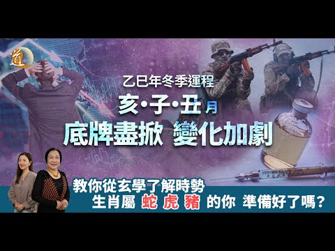 2025乙巳年冬季運程，底牌盡掀，變化加劇，生肖屬蛇虎豬的你更要注意〡觀天之道〡道通天地