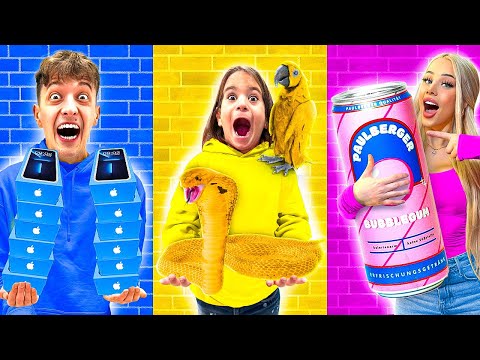 24 STUNDEN nur EINE Farbe KAUFEN!