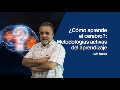 How does the brain learn? Learn with Neuroeducation by Luis Bretel