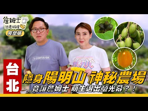 《詹姆士出走料理》台北｜隱身陽明山「神秘農場」竟讓詹姆士想退出螢光幕？！獨特冠軍「原生種山藥」，口感超Q彈！住家也能「養蜂採蜜」種菜？「全球城市農場熱」自己種菜自己吃！-第337集-2025/12/7