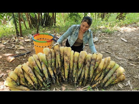 Go up the mountain to pick bamboo shoots