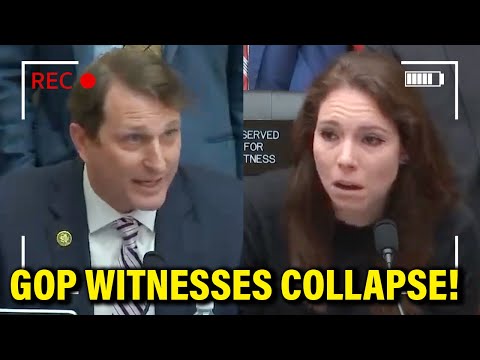 Democrats Give EXPERT CROSS-EXAMINATION of GOP Witnesses during Hearings