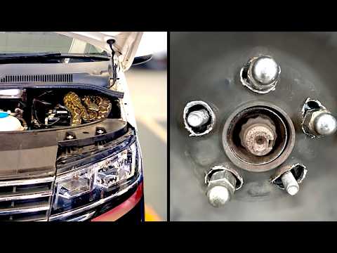 Customer States (Ignored Warning Signs) | Just Rolled In