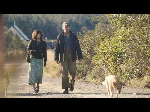 9.1高分超解压治愈的电影，我每年都反复看几遍，治好了我的精神内耗！【光影】