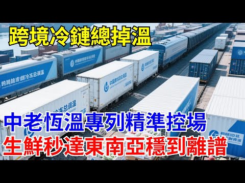 跨境冷鏈總掉溫？ 中老鐵路恒溫加班車精准控場！ ±0.5℃鎖鮮，生鮮秒達東南亞穩到離譜！#大國工程#基建狂魔#中國科技