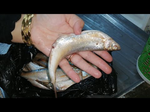 #البصرة_وعشاق_السمج_ روتين اليوم  السمج الزين واطيب طريقه على گلبي 😋