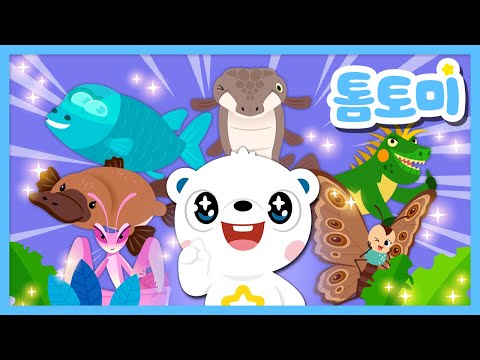 [KR] ✨Best Unique Animal Songs for Kids✨ | Fun & Popular Nursery Rhymes Collection | #TOMTOMI