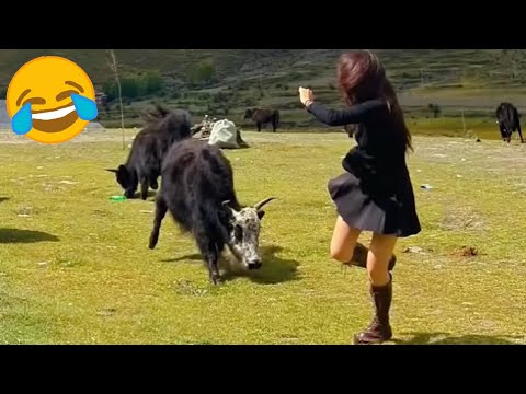 猝不及防的搞笑瞬间 😀😂 Pt. 29 你能忍到第几个