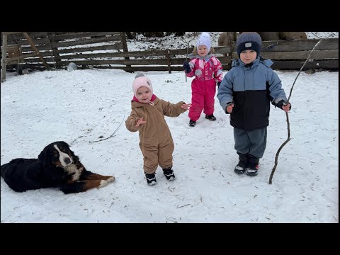 ДЕРЕВЕНСКИЙ ДНЕВНИК ОЧЕНЬ МНОГОДЕТНОЙ МАМЫ в прямом эфире!