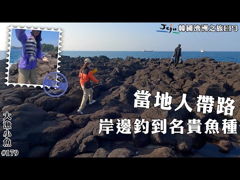 當地人帶路  岸邊釣到名貴魚種┃很好的學習體驗┃韓國濟洲之旅第3集┃雀鯛介紹┃#179