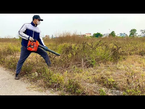 I'm Cleaning Forgotten Sidewalks for FREE | Cleaning Up Astonishing