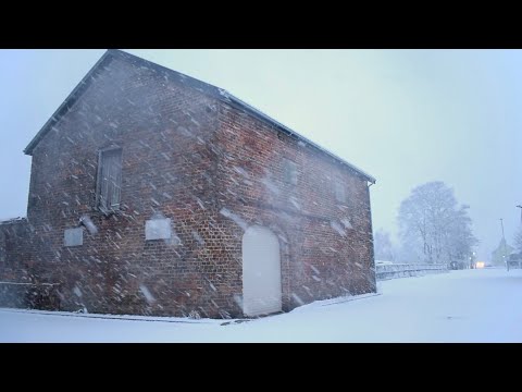 My winter residence is a derelict coach house in a car park