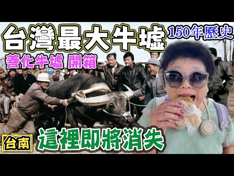 【台灣最大牛墟】150年歷史 這裡即將消失 善化牛墟 奇幻市集