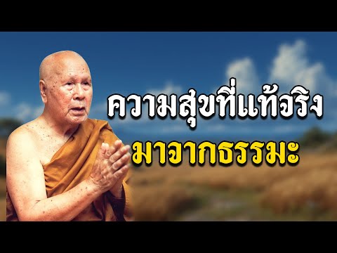 ”ความสุขที่แท้เกิดจากธรรมะ” โดยหลวงพ่อปัญญา นันทภิกขุ | ฟังธรรมก่อนนอน