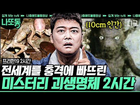 [#프리한19] 초소형 인간?… 외계인??👽정체를 알 수 없는 생명체 발견ㄷㄷ;; 과학계를 발칵 뒤집은 미스테리 괴생명체의 실체는?! | #나중에또볼동영상