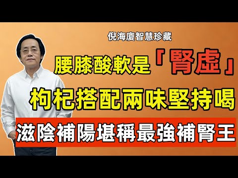倪海廈：枸杞的兩味堪稱 「強補腎王」，搭配堅持喝上一個月，滋陰補陽健脾祛濕比吃補藥管用多了！