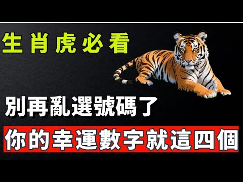 生肖虎必看，別再亂選號碼了，你的幸運數字就這四個。【肖天師道玄】#生肖 #命理 #運勢 #屬相 #風水