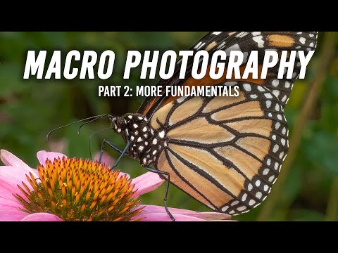 Macro Photography | Part 2: More Fundamentals