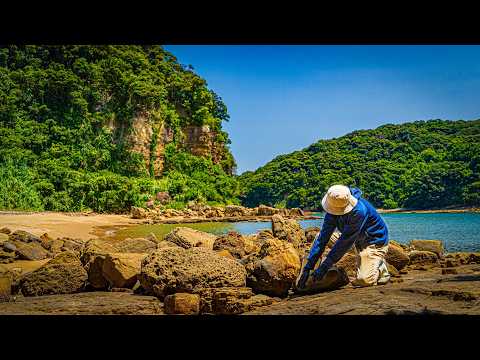 A Seaside Dweller Who Fishes With $0 Bait