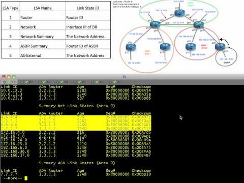 OSPF LSA Types for IPv4