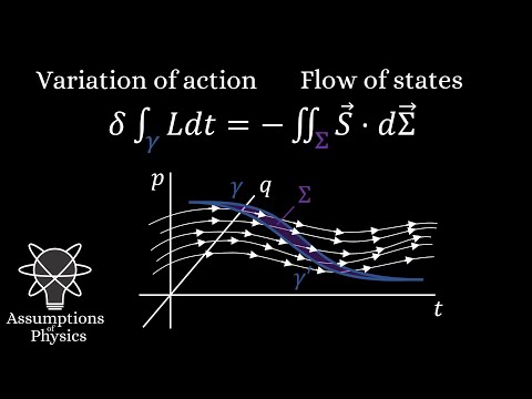 Action principle: geometric and physical interpretation
