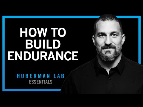 How to Build Endurance | Huberman Lab Essentials