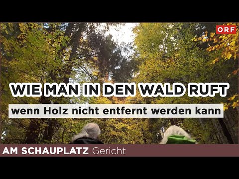 Durchfahrt verweigert - wenn das Holz im Wald bleibt | Am Schauplatz Gericht 11.12.2025