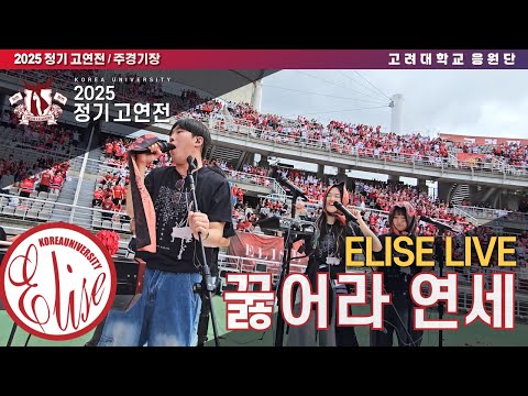 [ELISE LIVE] '꿇어라 연세' - 고려대학교 응원단 음악부 엘리제 라이브 #고려대응원가 #2025고연전 #고연전 #주경기장 #꿇연 #yeahyeahyeah [4k60p]