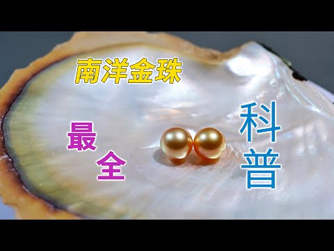 南洋金珠最全科普：母贝金唇贝 养殖技术 品质特征 颜色成因 鉴定证书 选购建议