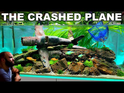 FULL AQUARIUM BUILD - The Crashed Plane Tank!