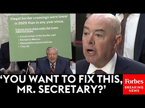 JUST IN: Lindsey Graham Gives Stark, Public Warning To Mayorkas