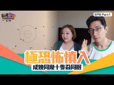 臥底旅行團3.0 ｜ EP8 PT1 ｜ 極恐怖慎入  成晚同幾十隻蝨同眠！｜ 臥底旅行團 ｜ 李尚正 ｜ 阿正 ｜ 盧頌恩 ｜ 妹頭 ｜ HOY 77