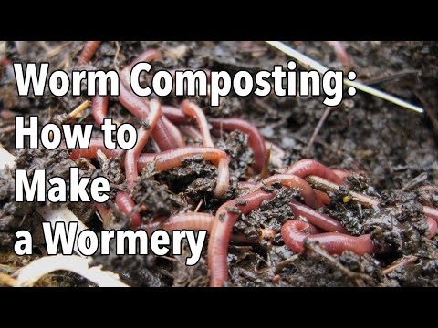 Worm Composting: How to Make a Wormery