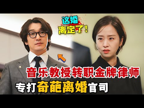音樂教授轉戰離婚訴訟，帶你看清婚姻本質！戀愛有風險，結婚須謹慎！一口氣看完高分韓劇《離婚律師申晟瀚》。#离婚律师申晟瀚 #韩剧解说 #神圣的离婚