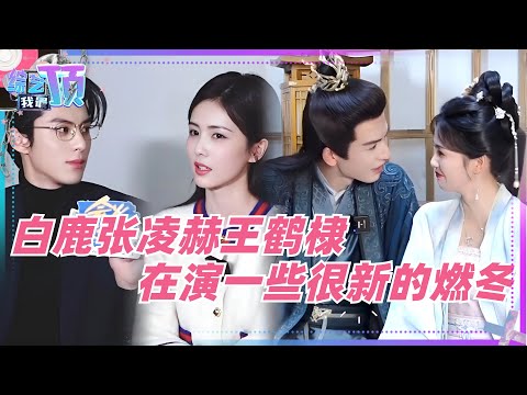 宁安如梦or以爱为营 ？当白鹿遇上张凌赫和王鹤棣 ，她会选谁？有些小情侣的采访氛围是真不一样~娱乐 | 综艺 | 电视剧