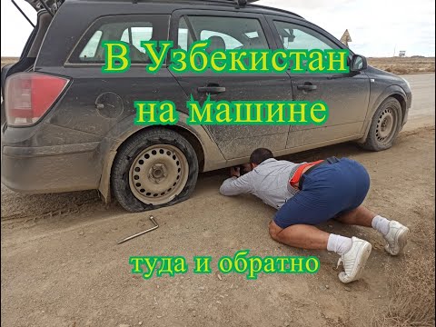 На машине в Узбекистан, туда и обратно.