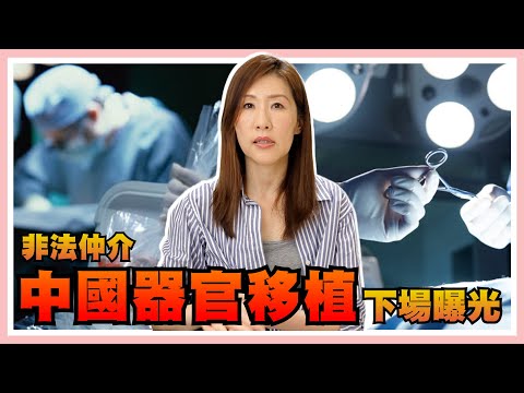 中國器官移植數量世界第二！器官到底從哪裡來？移植後從此健康了嗎？