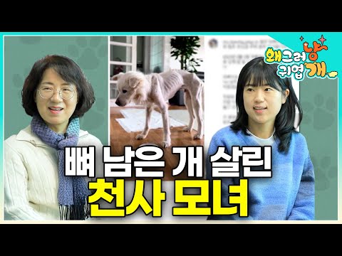 "It was love and attention that saved a terminally ill dog." A dog with only bones left, fighting...