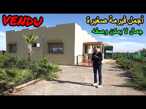 ✨ حصريا أجمل فيرمة صغيرة شفتيها مع منزل فخم وتجهيزات رائعة بمنطقة جميلة✨ تيفلت